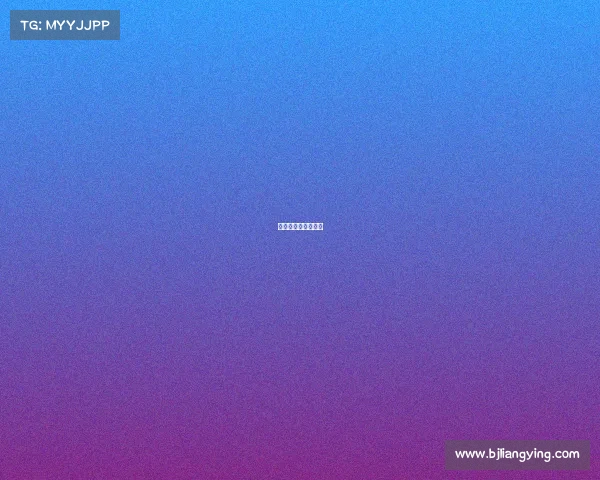 全国电子竞技公开赛